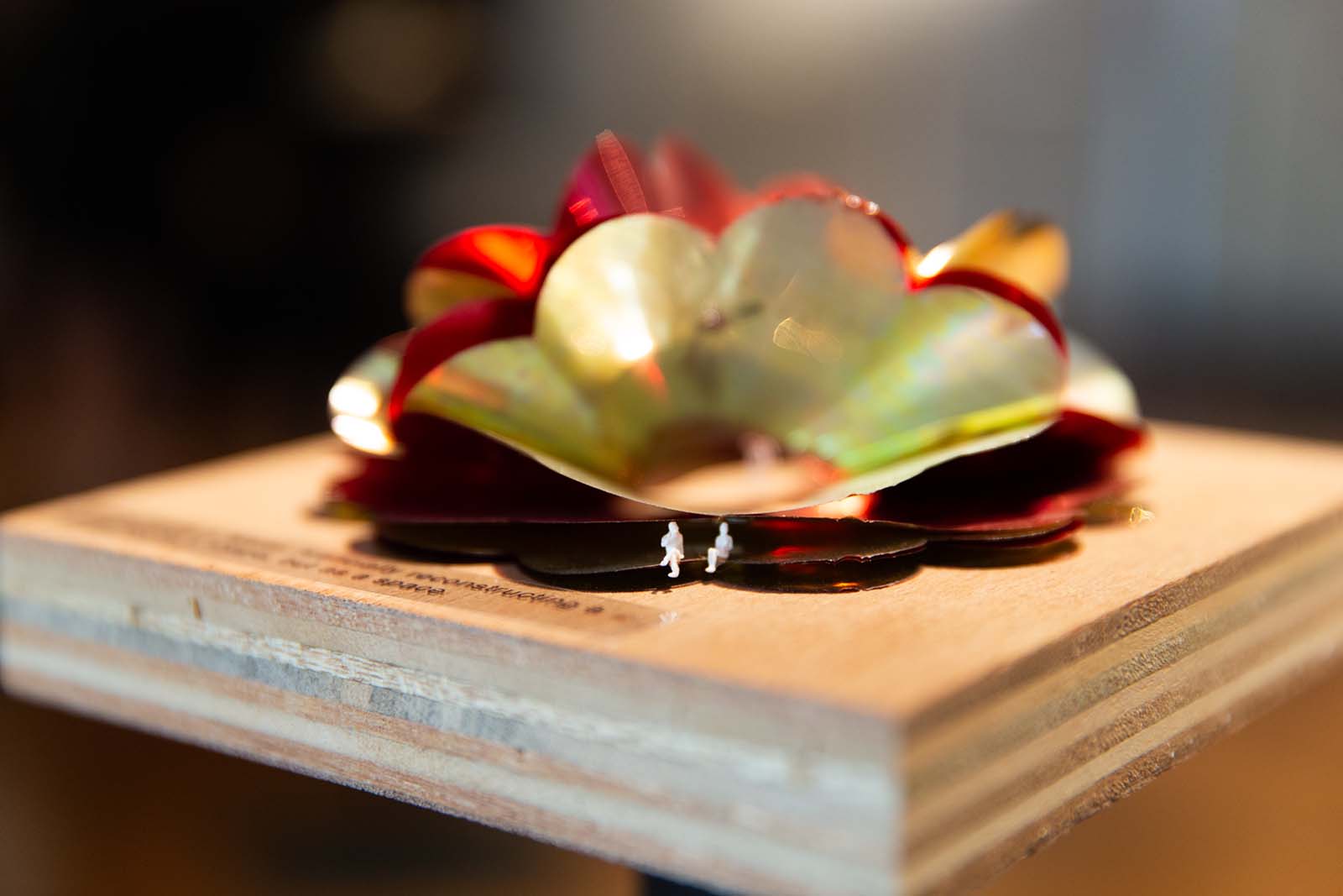 Model matters: starting with found materials - The Architectural