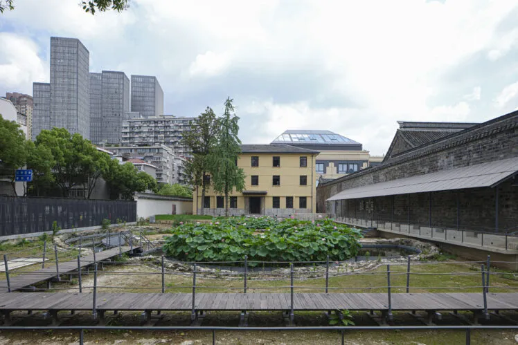 A thriving green lotus pond with tall buildings in the background