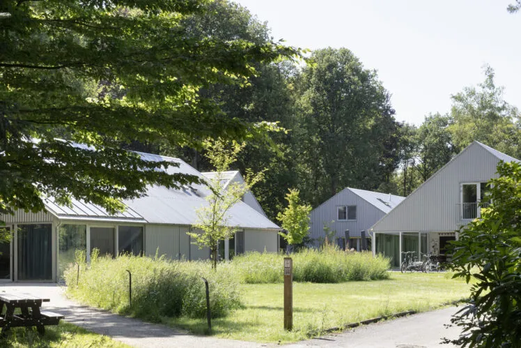 A view of a collection of buildings clad in corrugated metal across a green space and driveway