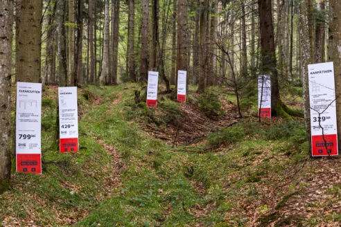Greenpeace CEE activists place CLEÄRCUTTEN and FORESTGÖNE labels in old-growth forest in Romania