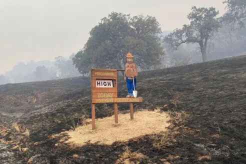 The Smokey Bear fire sign survived the surrounding blaze