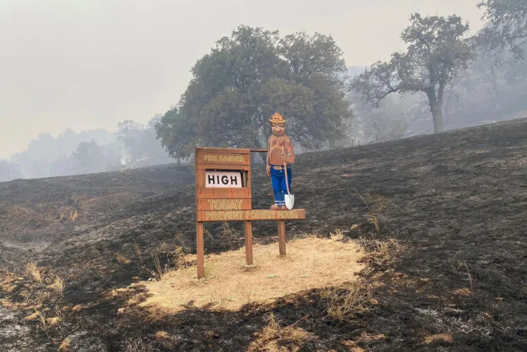 The Smokey Bear fire sign survived the surrounding blaze