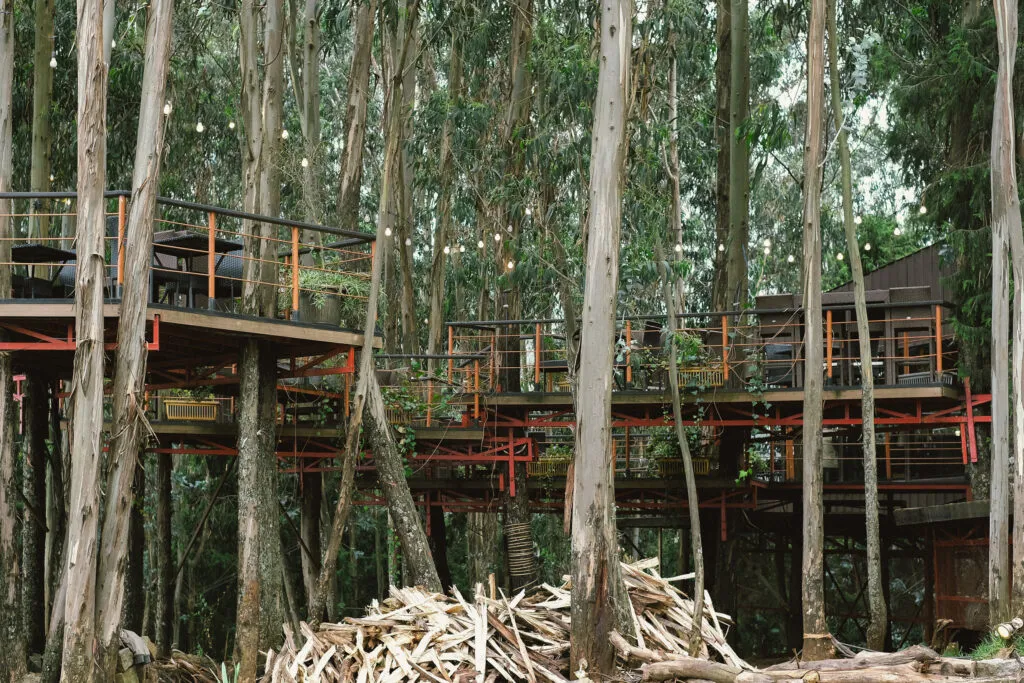 Revisit: Treehouses in Addis Ababa, Ethiopia, by Ahadu Abaineh