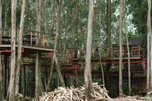 Treehouse-revisit-ahadu-abaineh-ethiopia-architectural-review-8-300x200.webp