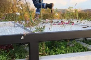 DIRTY DANCING by Samuel Löfgren and Edvin Sandberg from KTH in Stockholm, Sweden