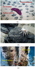 The engineering geology and environmental challenges of deep seabed ...