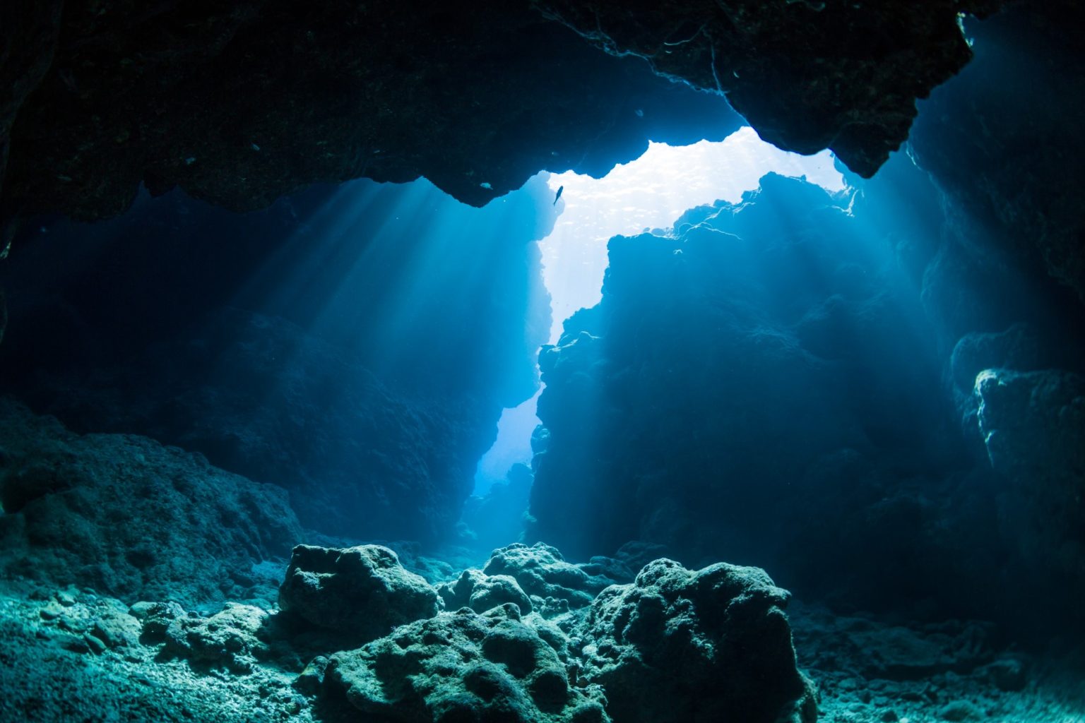 The engineering geology and environmental challenges of deep seabed ...
