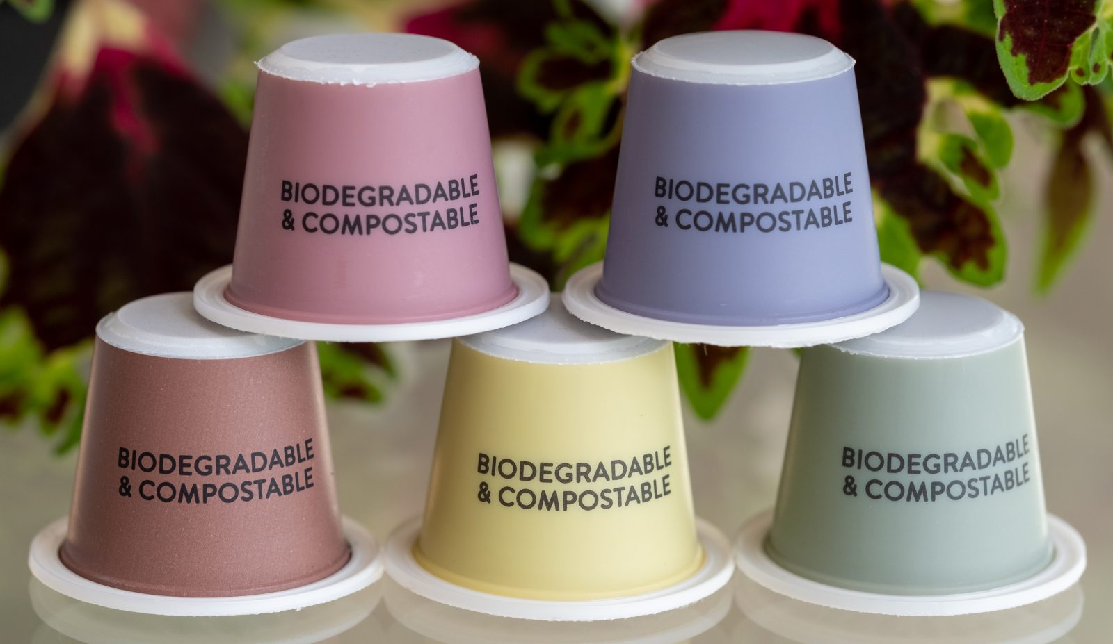 Call for 'transparency' over biodegradable advertising claims | MRW