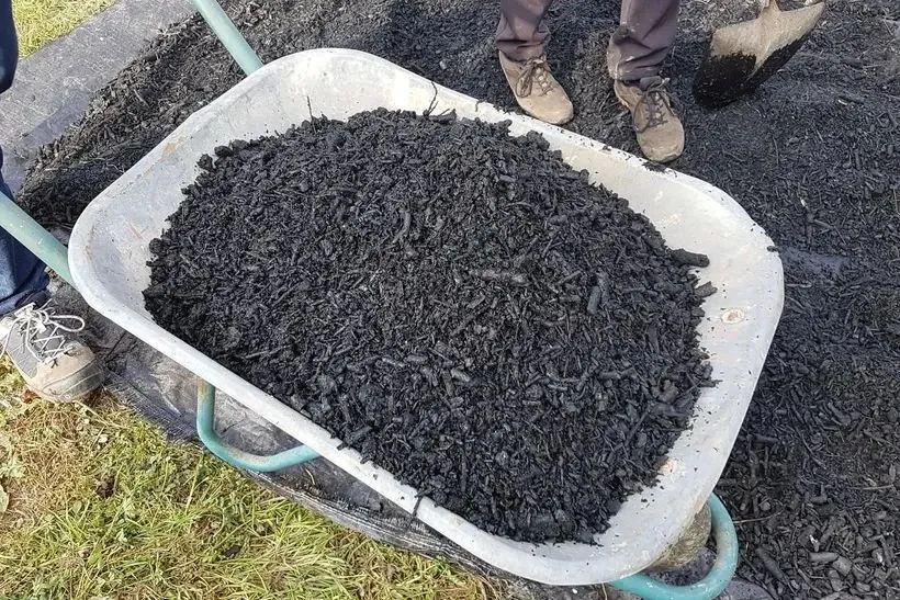 Researchers reveal potential of making biochar from food waste