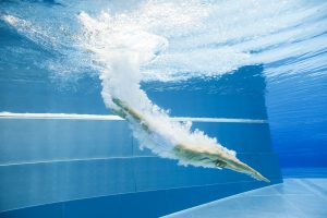 swimming-pool_shutterstock-300x200.jpg