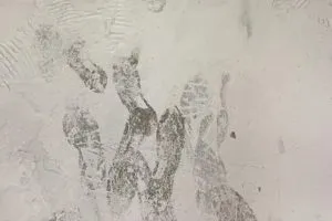Inova-dust-2-659x1024-1-300x200.webp