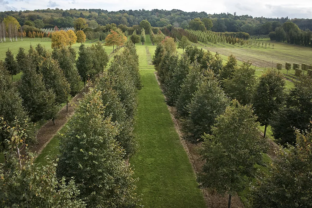 Why you should choose Hillier