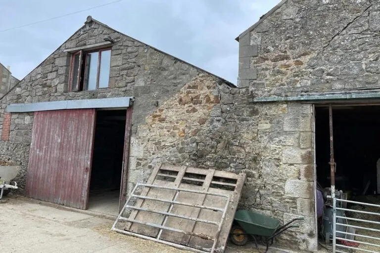 Building firm fined after bricklayer breaks his back in fall