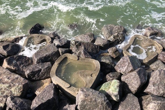 Marine life habitat to be created in Portsmouth sea defences - Vimarsana News