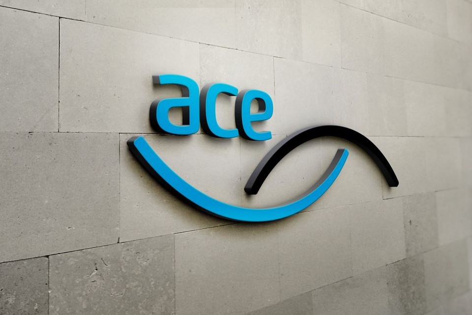 Aecom duo named interim chief exec and chair of ACE - Vimarsana News