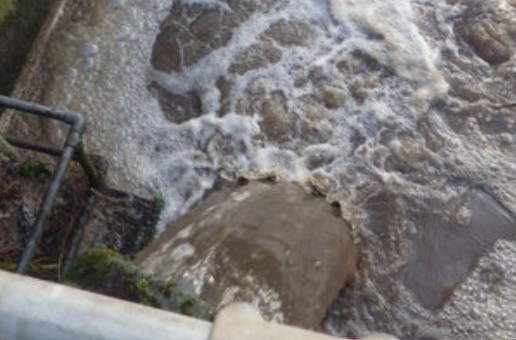 Severn Trent Water fined raw sewage discharges - Vimarsana News