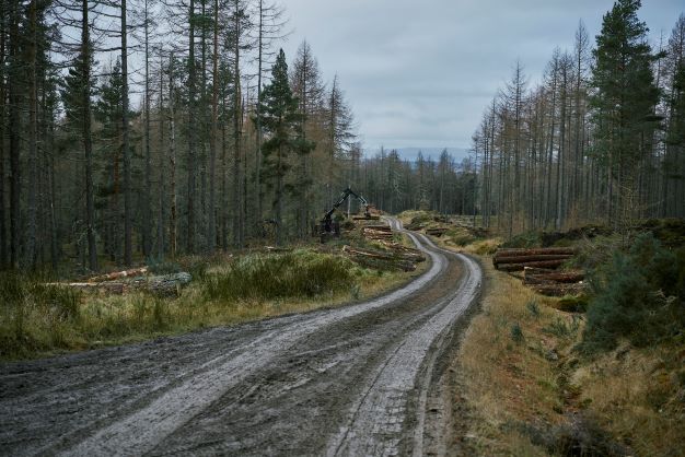 Connected sensors to monitor Scotland's rural roads - Vimarsana News