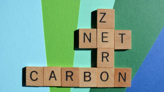 Carbon in procurement: practical tender implications for project engineers