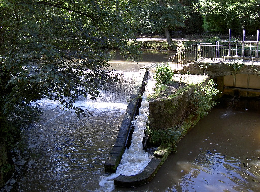 Fish in Yorkshire swim freely thanks to River Aire project - Vimarsana News