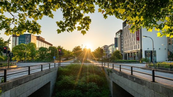 Arup to evaluate road maintenance innovations being developed through £30M Live Labs 2 incubator - Vimarsana News