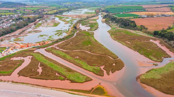 Future of Floods | Back to nature approach improves flood resilience in Devon - Vimarsana News