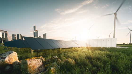 Practical sustainability leadership in infrastructure: delivery lessons for engineers