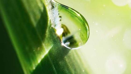 Arup’s 2027 TNFD nature-risk disclosures: design implications for project engineers