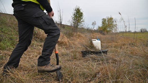 UK progress on environmental obligations ‘largely off track’, watchdog warns