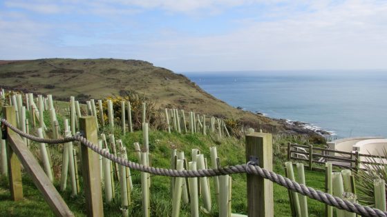 Biodiversity from NSIPs expected to provide ‘desperately needed’ long-term climate resilience