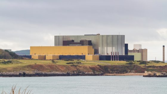 Government appears to leave door open to gigawatt-scale nuclear at Wylfa