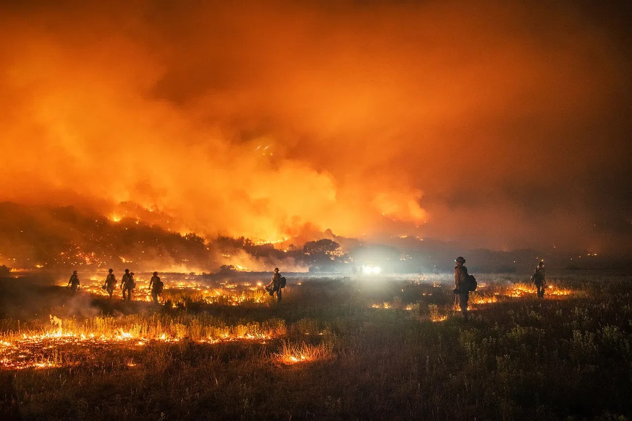 The 'Fire Away' Comment Amidst Wildfire Devastation