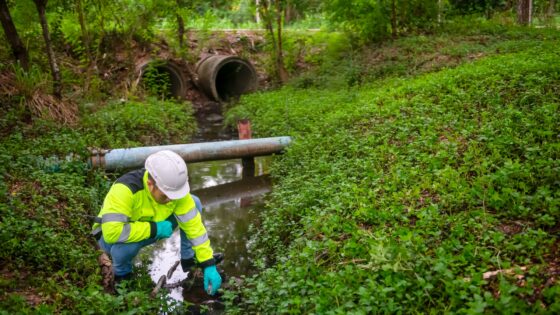 OEP issues notices to Defra and Environment Agency on ‘suspected failures’ in water quality management