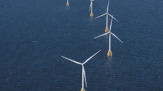 Ørsted Supreme Court tax ruling: implications for offshore survey budgets