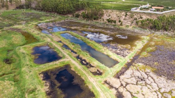 High Court finds UK-Australian mining firm liable for 2015 Brazil dam collapse that killed 19