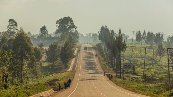 Engineers Against Poverty chair on effective infrastructure governance