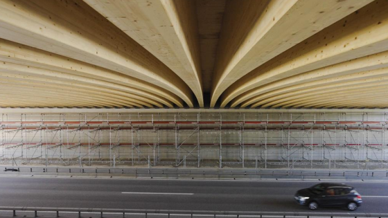 Bouygues completes innovative post-tensioned timber wildlife bridge in Switzerland