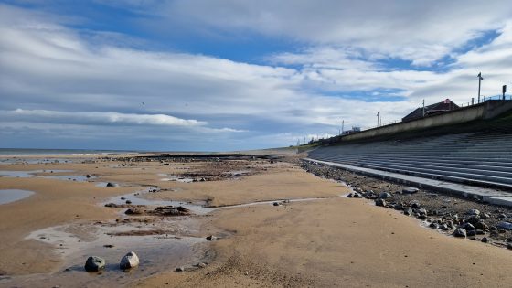 Adaptive pathways: A long-term approach to coastal management