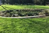 rain-garden-nature-based-solutions-suds-sustainable-drainage-160x110.webp