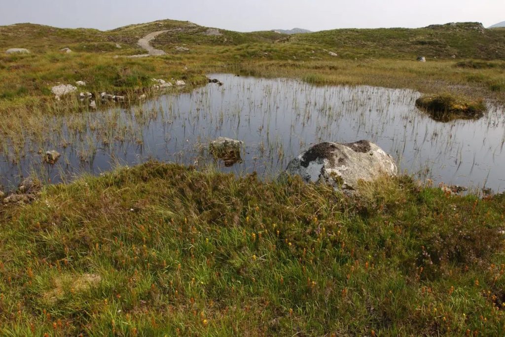 Scotland on track for early carbon cuts but long-term plans remain thin, CCC warns