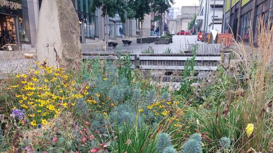 Southern Water £1.3bn SuDS framework: design and risk notes for project teams