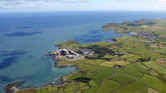 WSP and Mott MacDonald Wylfa SMR deal: permitting and EIA lens for engineers