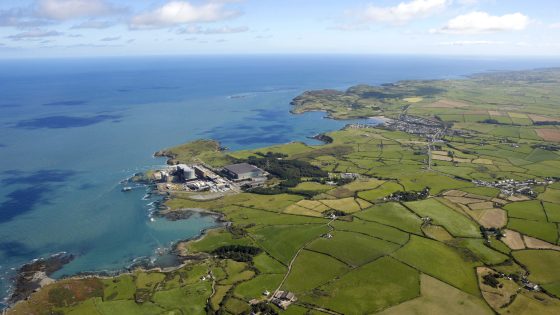 Wylfa SMRs consenting blueprint: integrated design and risk notes for engineers