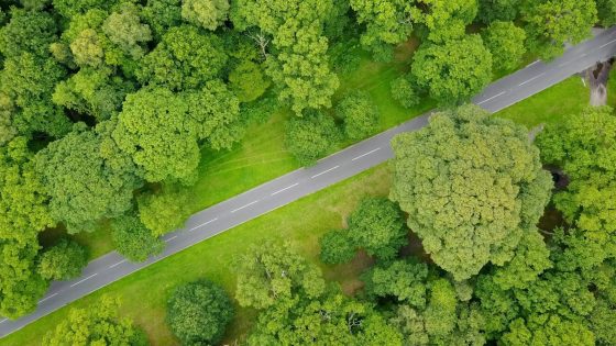 Natural England leadership on nature recovery: design lessons for civil engineers