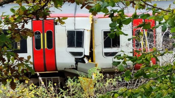Fatal 2024 passenger train collision in Wales caused by low wheel-rail adhesion, Raib finds