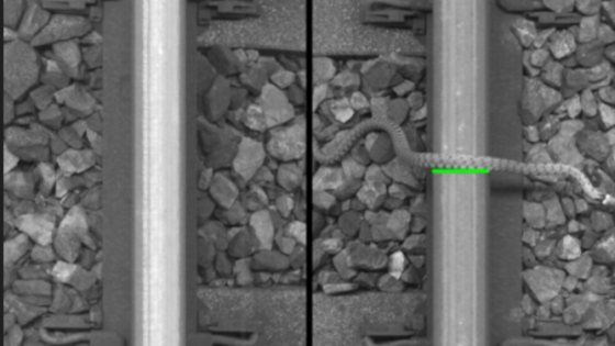 LNER AI ‘snake defect’ alert: data quality lessons for rail inspection engineers