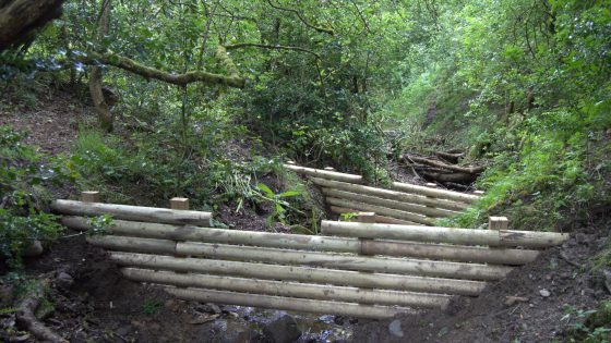 National Trust–United Utilities leaky dams: runoff control lessons for drainage engineers