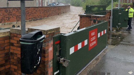 Skinningrove Flood Alleviation Scheme: design and risk notes for bridge engineers