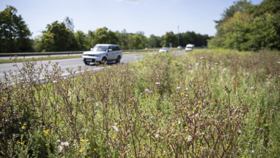 Mandatory suicide prevention in UK road design: key points for engineers